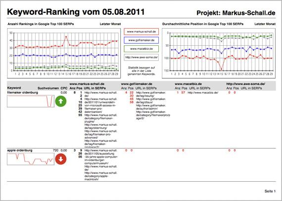 SEO - Keywordstatistik über die Positionierung von Seiten und Keywords