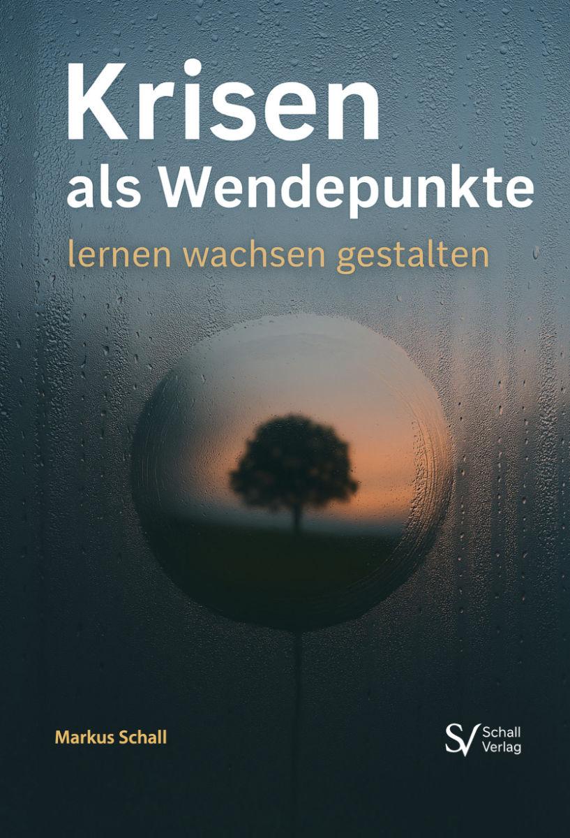 Livro: As crises como pontos de viragem