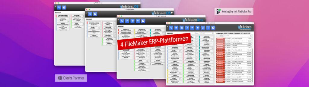 Software ERP personalizable en 4 plataformas